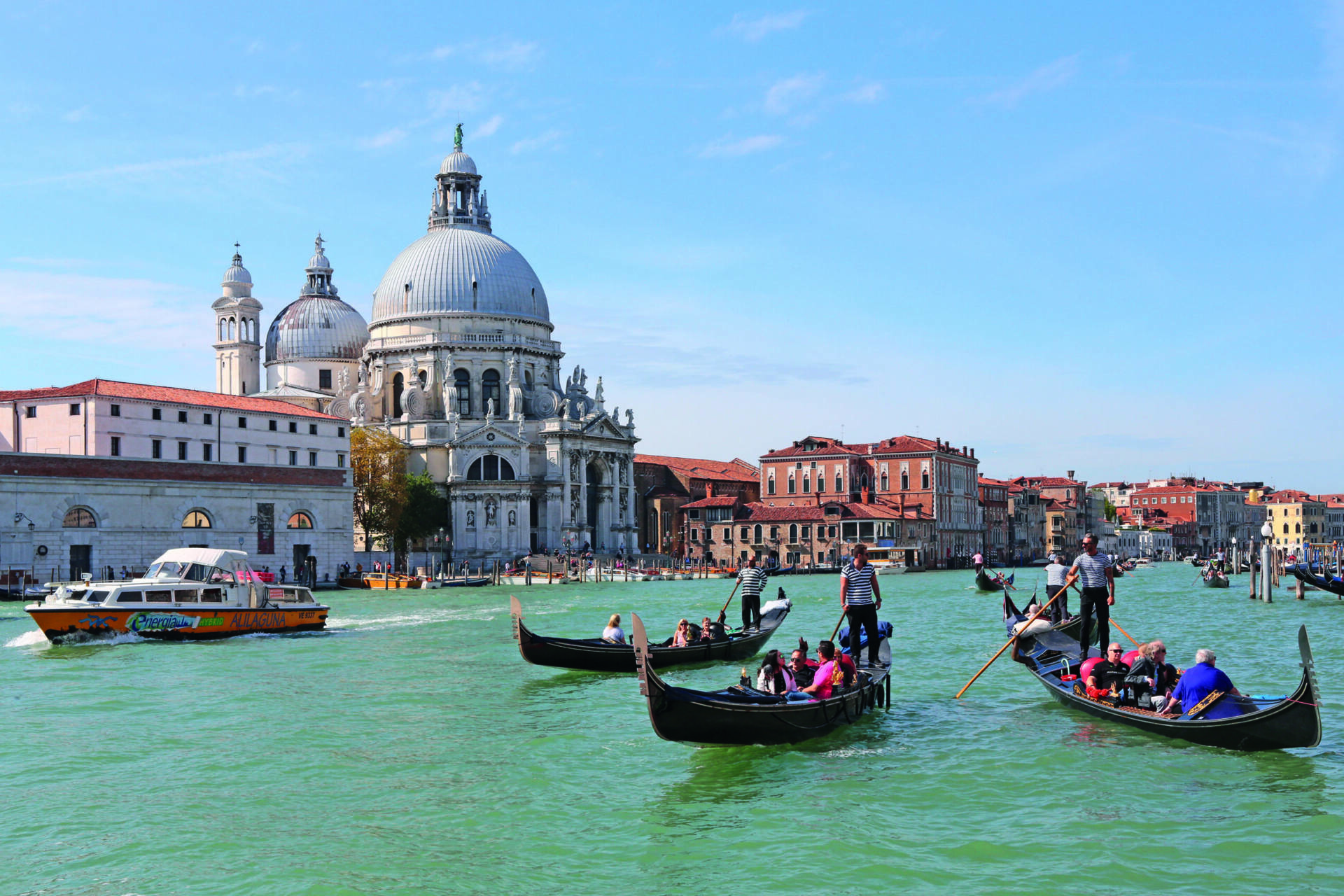 Venezia Palazzi e Immagini del Canal Grande