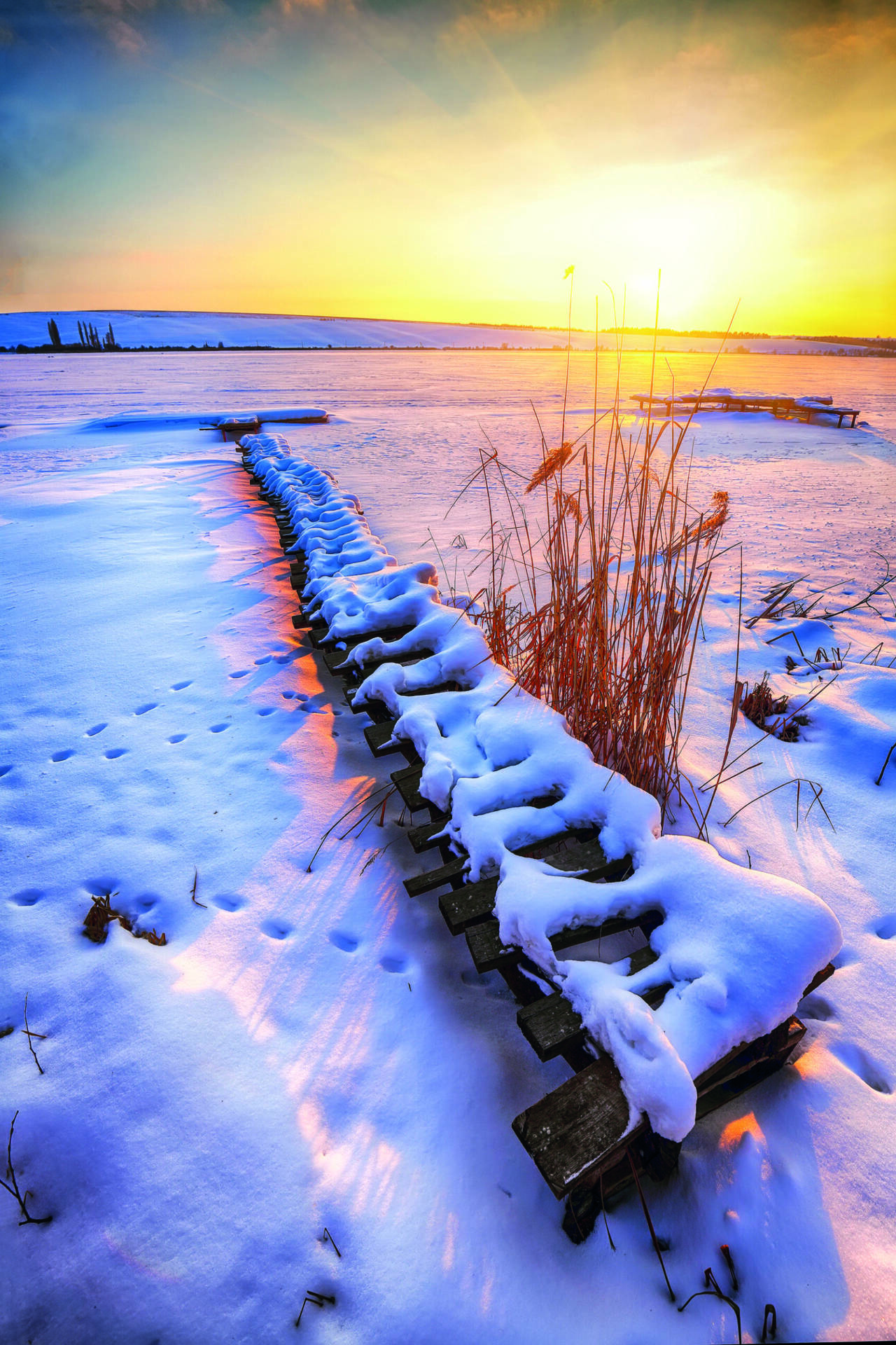 Evening winter landscape.