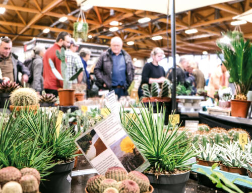 Gartenträume „Der Grüne Treffpunkt“ – Messe in Magdeburg am 22.02.2025