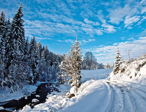 Überraschungsreise in der Winterzeit vom 14.12 – 15.12.2024