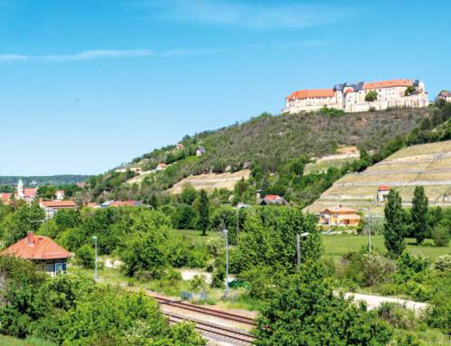 Sektkellerei Rotkäppchen in Freyburg und Schifffahrt am 09.07.2025