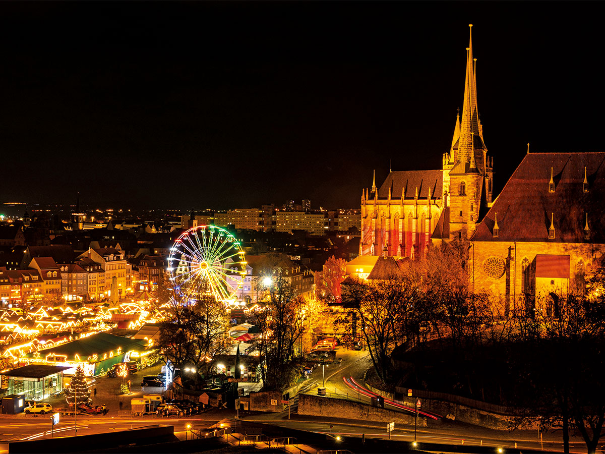 Foto: leaena | Shutterstock