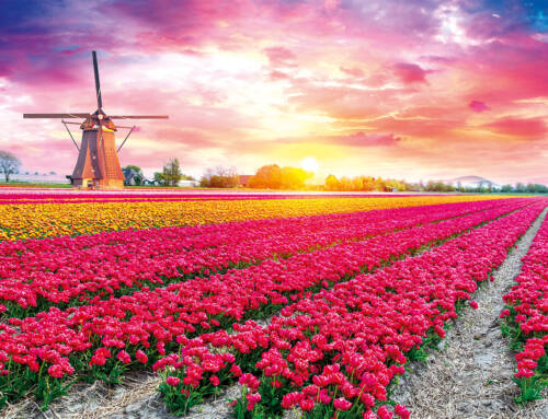 Niederlande erleben! vom 20.03. – 23.03.2026