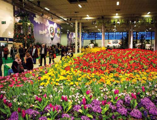 Internationale „Grüne Woche“ 2026 in Berlin am 17.01.2026