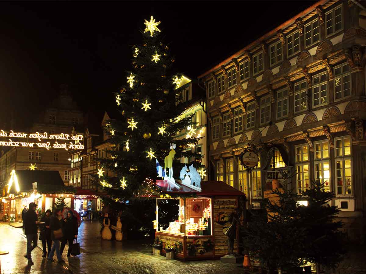 Foto: Markus-Pfetzing | shutterstock.com