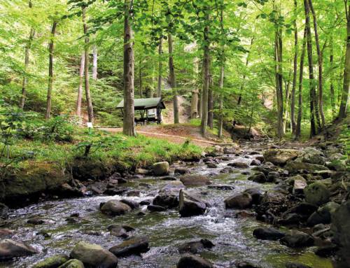 Harz mit Planwagenfahrt und Forellen-Essen am 14.08.2026
