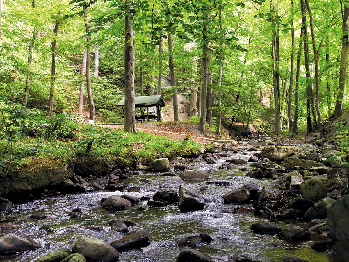 Foto: Ina-Meer-Sommer. Shutterstock