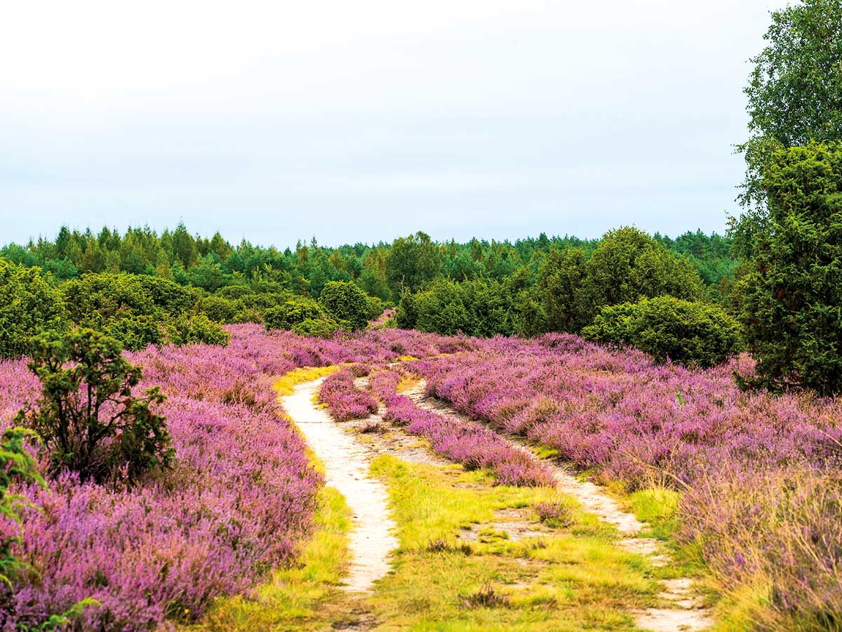 Foto: Torben-Knauer, Shutterstock